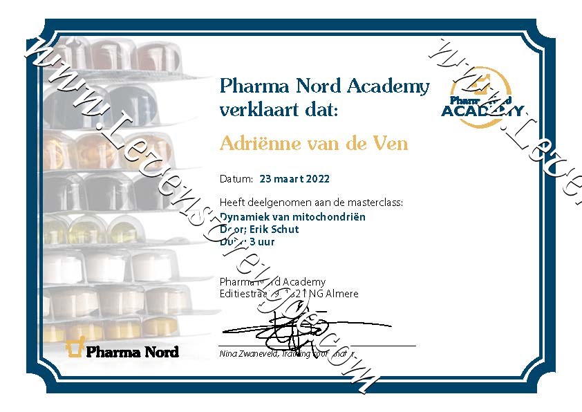 Dynamiek van mitochondriën